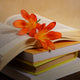 Discover The Best-Selling Novel Of All Time