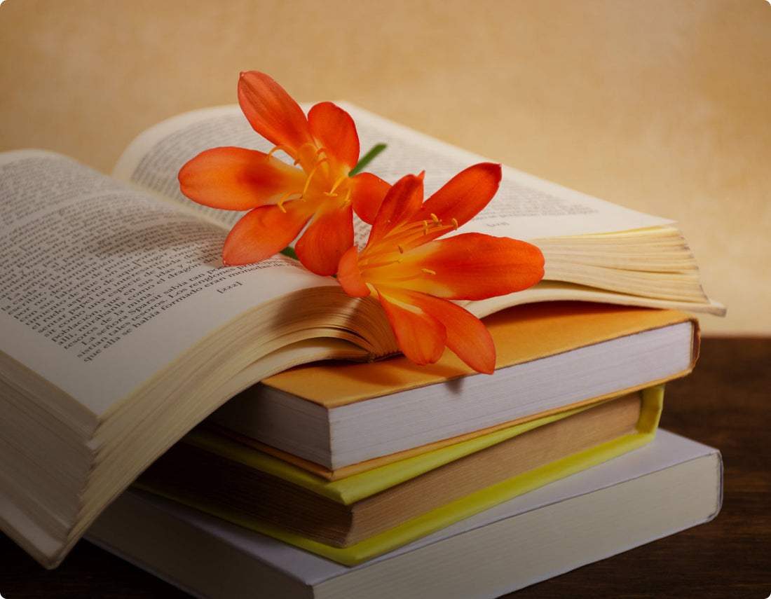 Discover The Best-Selling Novel Of All Time