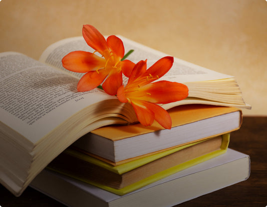 Discover The Best-Selling Novel Of All Time